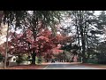 Bright Autumn Colors 😱😱😱  - Bright, Victoria