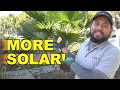 Tesla Solar Roof - Inspection