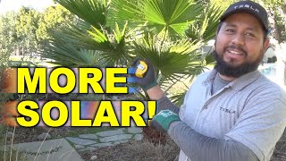 Tesla Solar Roof - Inspection