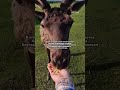 Одно из самых популярных мест отдыха на Байкале