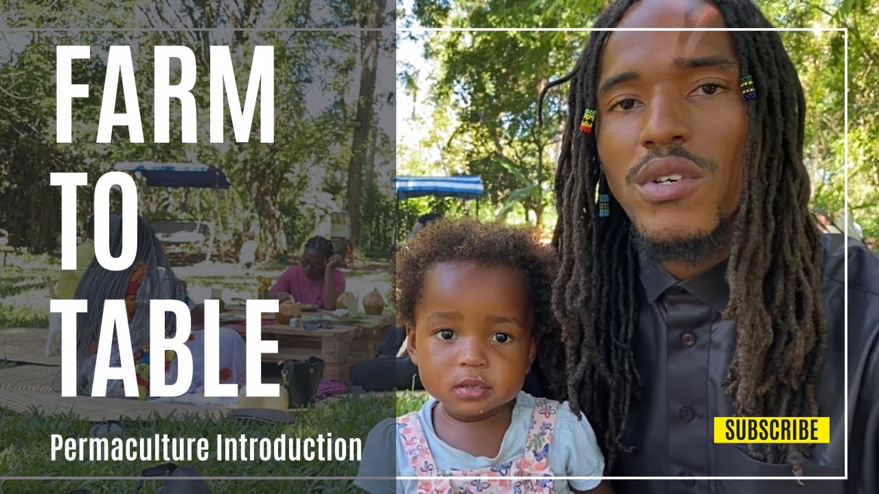 Africa Will Feed The World l Permaculture Farm Tour Zanzibar l