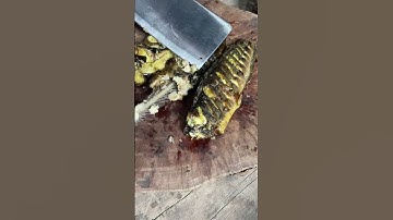 CÁ TRÊ NƯớng TrộN GỎI XOÀI🐟🐠🥗#shortvideo #shorts #cooking #food #recipe #muckbang