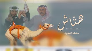 سلطان العذبه - هتاش (حصرياً) | 2023