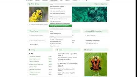 iGoTerra tutorial - Bird subspecies assignment tool