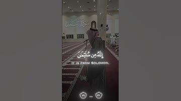 سورة  النمل   - ناصر الطويل -  An-Naml #المصحف #surah #quran #ناصر_الطويل #اكسبلور