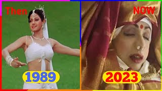 Chandni Movie Star Cast | Shocking Transformation | Then And Now 2023