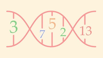 03 - Primes Are The Building Blocks of Numbers (Fundamental Theorem of Arithmetic)