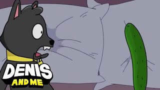 Denis and Me |  Cucumbers