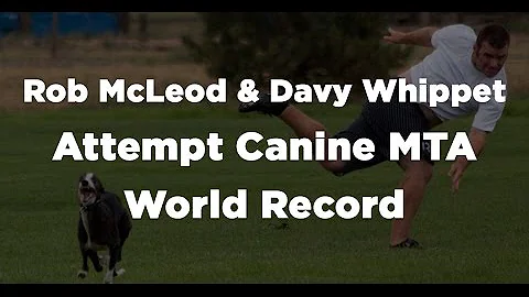 CTV News Calgary - Rob McLeod and Davy Whippet Attempt Canine MTA World Record