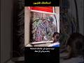 صورة لصندوق مليء بالأسلاك المتشابكة على اليسار وفي الجهة اليمنى مشهد الكابلات المرتبة بألوان جميلة mp3