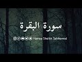 Surah al  baqarah  chap  2  verse 1  11  ft hamza sheikh sabherwal  quranrecitation