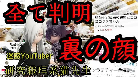 やまねこと猫 Mp3 やまねこと猫 Mp3