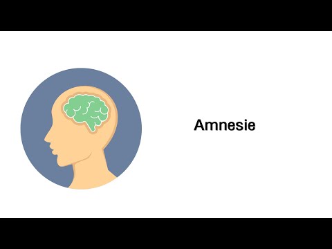 Amnesie - Gedächtnisverlust - Psychische Störungsbilder