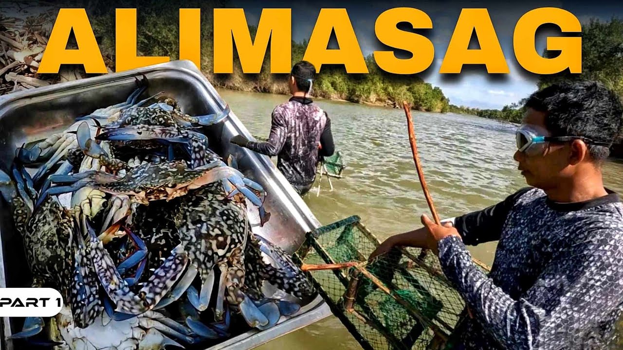 P1-ALIMASAG O BLUE CRABS - EP1257