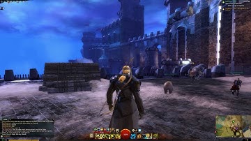 Guild Wars 2 Texture Glitch
