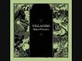Villagers - Set The Tigers Free