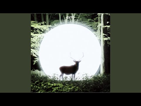 LITE - Echolocation