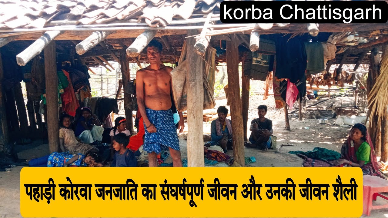 पहाड़ी कोरवा जनजाति का संघर्षपूर्ण जीवन| रहन सहन बहुत ही सरल होता है ...