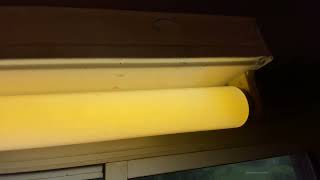 Old 24” t12 20watt fluorescent light at relatives house ￼