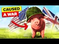 Dumbest Reasons Countries Have Actually Gone To War