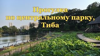 Урок оригами и прогулка по центральному парку Тибы, Япония