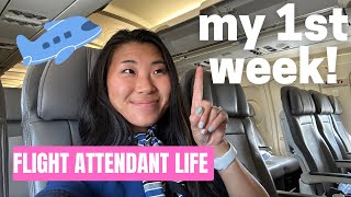 Flight Attendant Vlog: MY FIRST WEEK (& I loved it!) ❤️