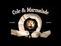 Cole  marmalade 12 years of pawsomeness