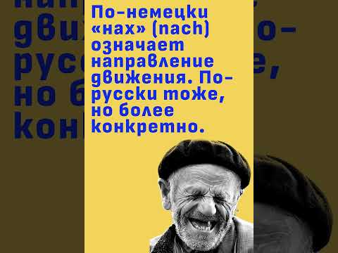 Ох уж этот схожесть языков #юмор #прикол #смешновидео #смех