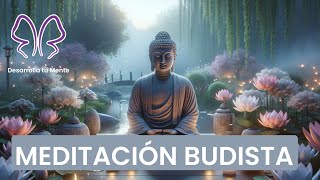 💚 Solo Tú, y tu Respiración |💚 ABRE TU MENTE Y FLUYE (Meditación Budista)