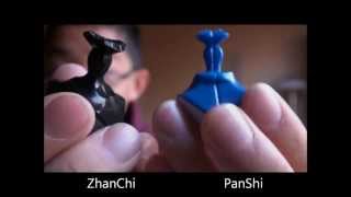 Celebrity DaYan PanShi Prototypes Are Here! Net Worth