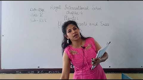 Class IV EVS Chapter 4 Plant Flowers,rootand trees part 2