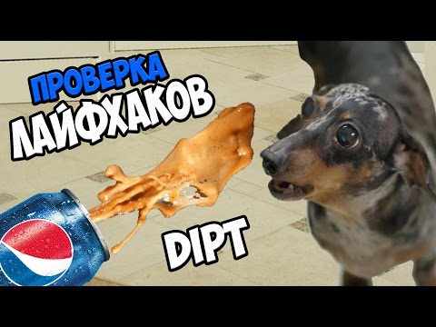 ПРОВЕРКА ЛАЙФХАКОВ с