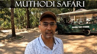 Muthodi Evening Safari | Stay in Bettadahoovu Homestay