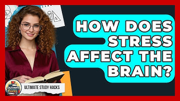 How Does Stress Affect The Brain? - Ultimate Study Hacks