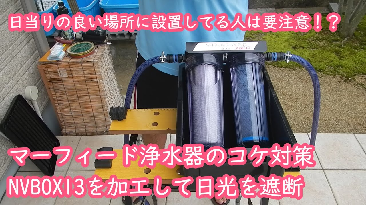 マーフィードの浄水器を使えばメダカも元気！汲み置きの水も要らない