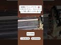 【閲覧注意】真っ黒エアコンをピカピカに！エアコンの異臭・効きが悪い原因はコレ！自分でできるエアコン掃除で電気代も節約！驚きのエアコンクリーニング#エアコンクリーニング