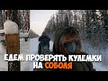 Едем проверять кулемки на соболя