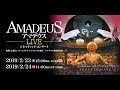 アマデウスLIVE / 公演予告映像