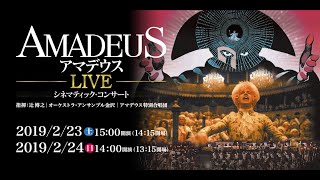 アマデウスLIVE / 公演予告映像