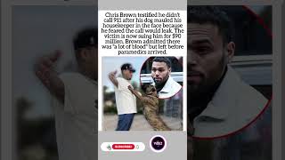 Chris Brown Didn't Call 911 After Dog Attack #ChrisBrown #CourtCase #DogAttack #CelebrityNews