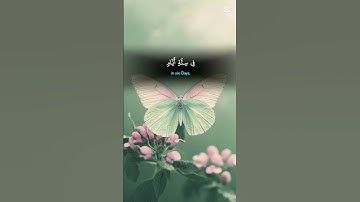 احترم القرآن الكريم و اكتب شيئ تؤجر به🤲🤲🤲🤲❤❤❤❤❤❤