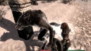 Permanent camera lock glitch-Skyrim
