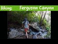 Hiking Ferguson Canyon (Cottonwood Heights, Utah) by The Diabetic Hiker