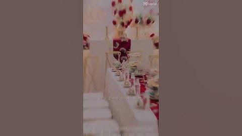 Bầu trời kia rộng lớn nhưng hôm nay em ôm vào lòng #shorts #giatien #damcuoi #traitrigiatien