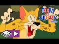 A Tom & Jerry Show | Három pici madárka | Boomerang