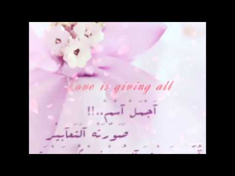 محمد الشحي قلب الام