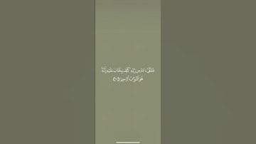 #سورة_البقرة من آية ٣٦ إلى آية ٤٠ للحفظ🌿