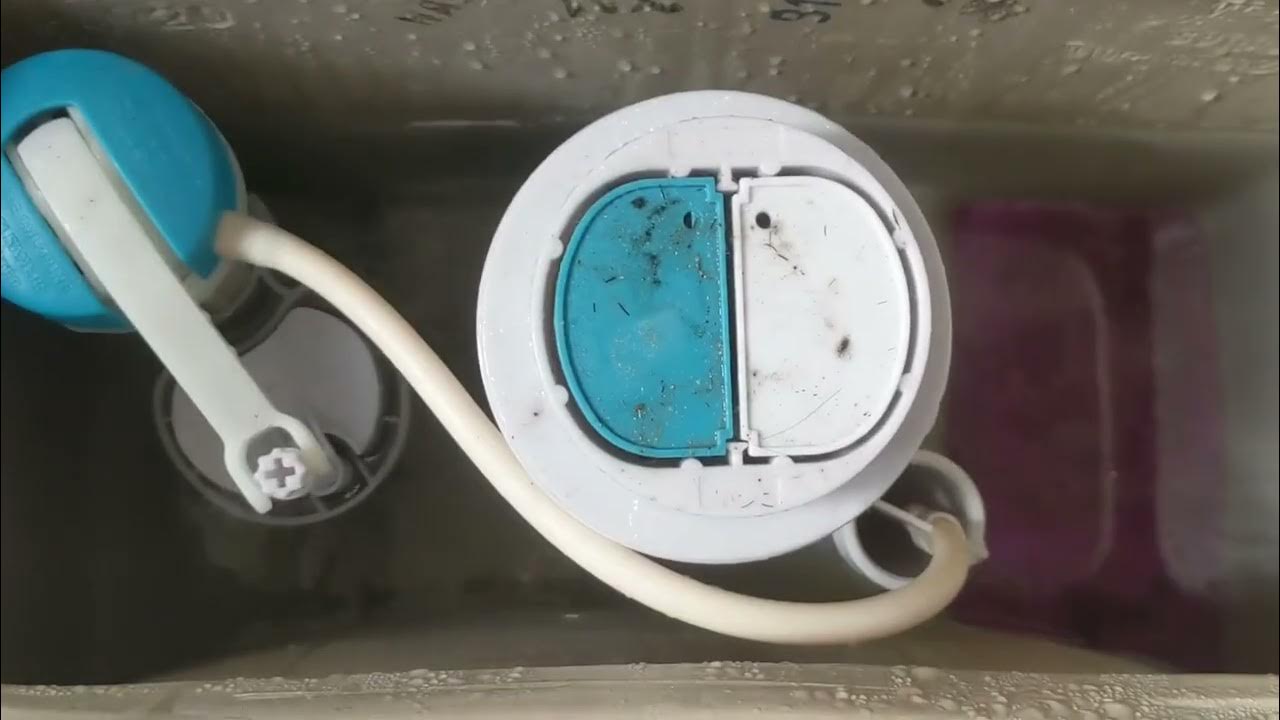 5855 2020 Jacuzzi One Piece Toilet Tank YouTube