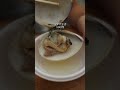 日本三大朝市「勝浦朝市」