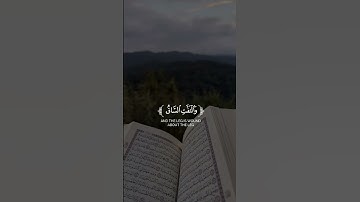 ﴿ كَلَّا إِذَا بَلَغَتِ التَّرَاقِيَ﴾[ سورة القيامة: 26]
